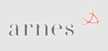 Partner 5